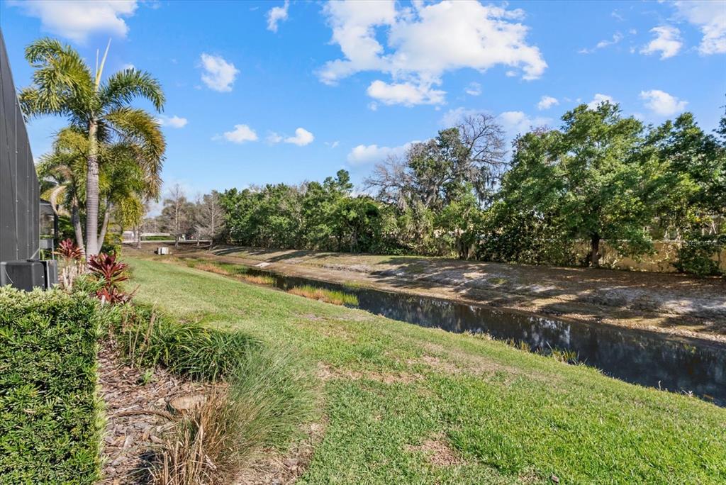 5439 Cartagena Drive Sarasota, FL 34233 - Photo 40 of 40 a view of a yard with palm tree