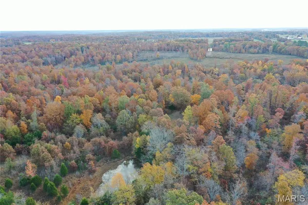 $59,000 | 2 Bobwhite Lane, Fairdealing, MO 63939