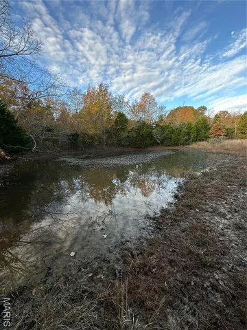 $59,000 | 2 Bobwhite Lane, Fairdealing, MO 63939