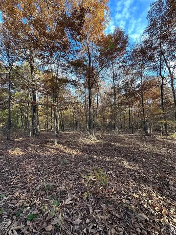 $59,000 | 2 Bobwhite Lane, Fairdealing, MO 63939