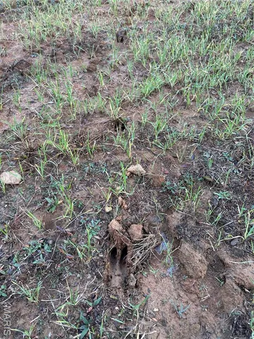 $59,000 | 2 Bobwhite Lane, Fairdealing, MO 63939