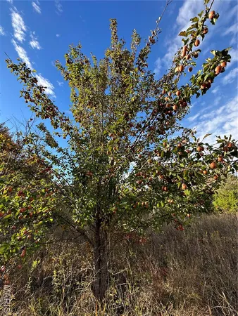 $59,000 | 2 Bobwhite Lane, Fairdealing, MO 63939