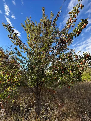 $59,000 | 2 Bobwhite Lane, Fairdealing, MO 63939