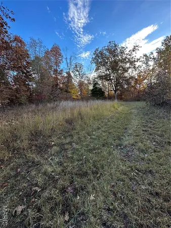 $59,000 | 2 Bobwhite Lane, Fairdealing, MO 63939