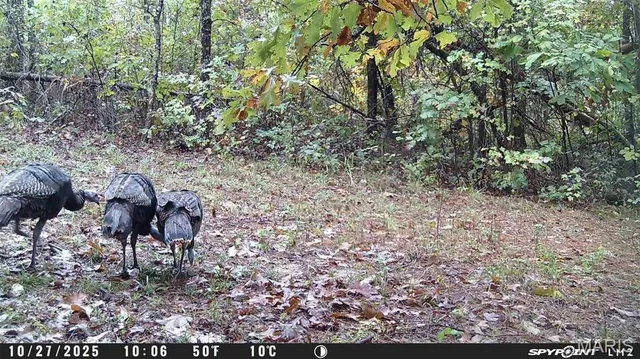 $59,000 | 2 Bobwhite Lane, Fairdealing, MO 63939