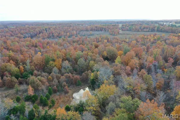$59,000 | 2 Bobwhite Lane, Fairdealing, MO 63939