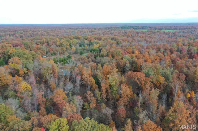 $59,000 | 2 Bobwhite Lane, Fairdealing, MO 63939