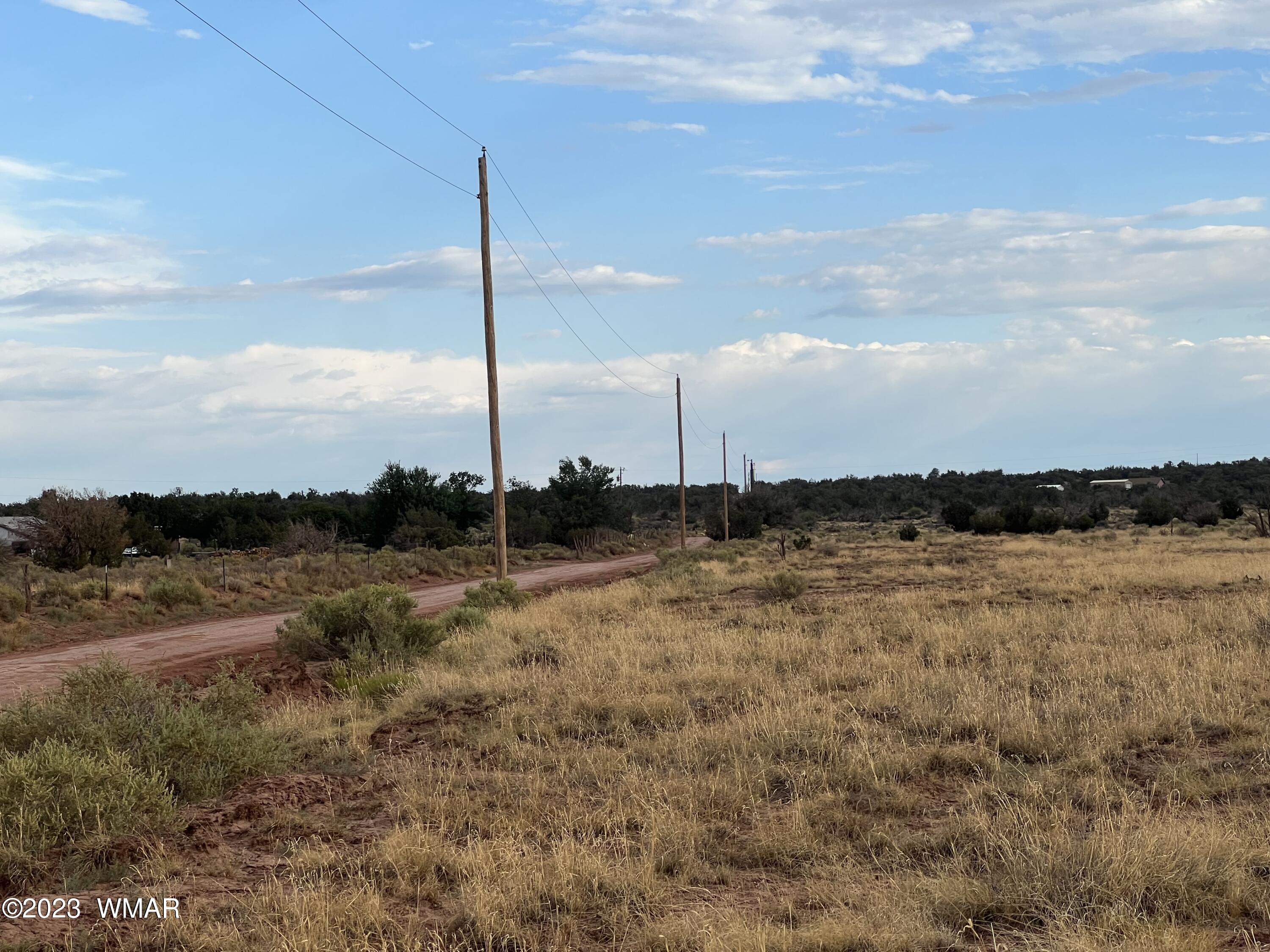 8792 Morgan Lane Snowflake, AZ 85937 - Photo 3 of 9