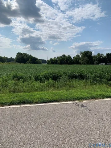 a view of a park with large trees