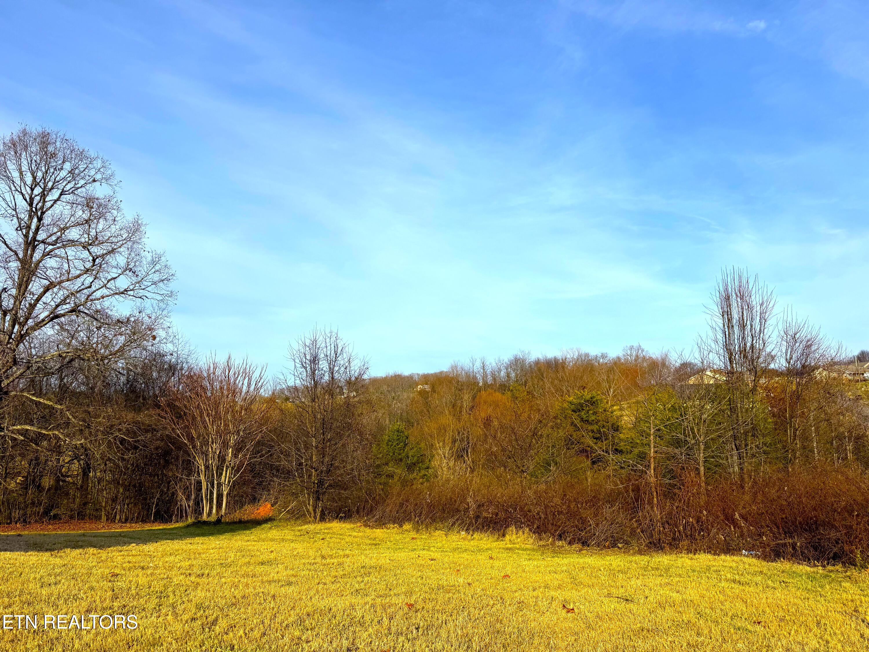 528 Low Valley Road Dandridge, TN 37725 - Photo 5 of 15 IMG_7070