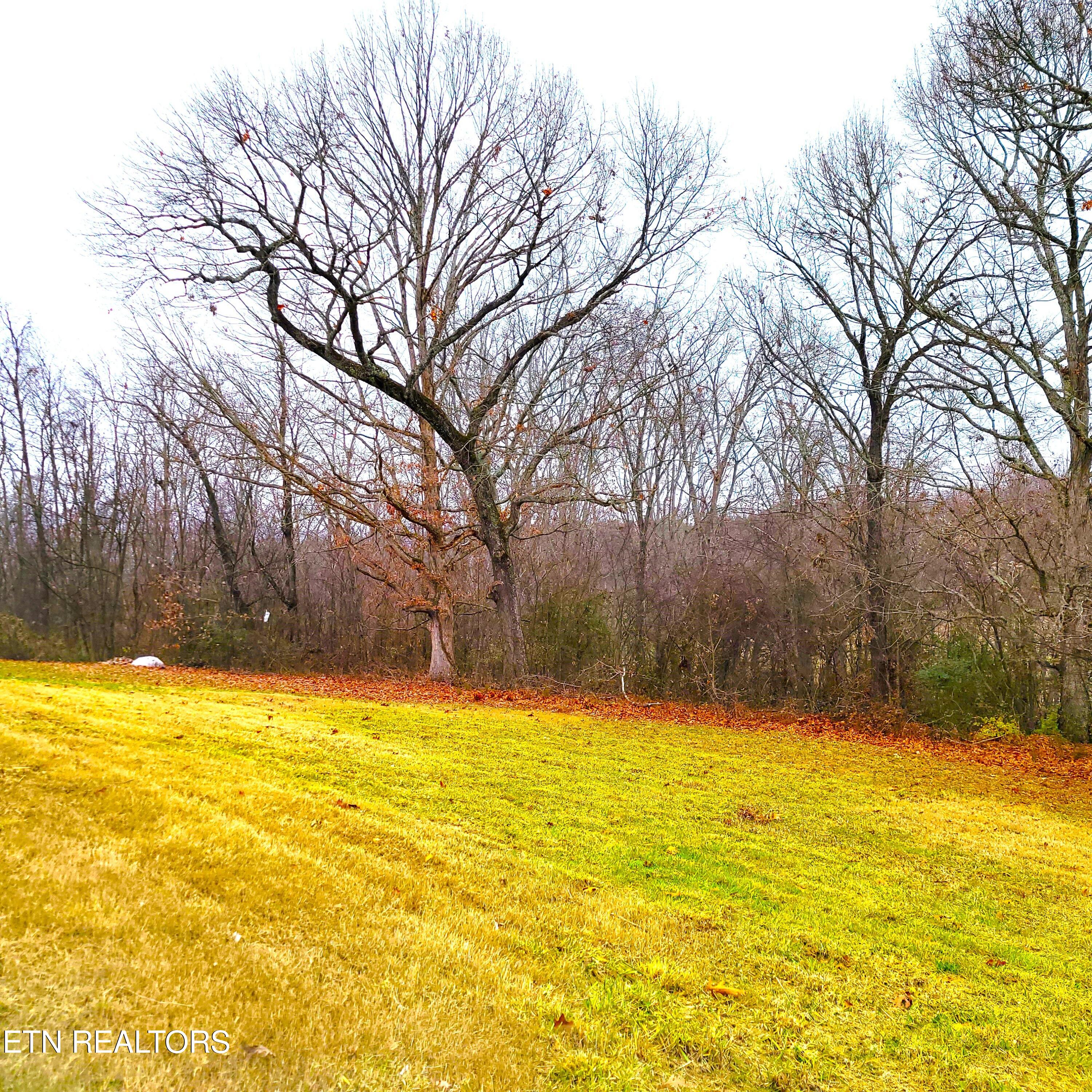 528 Low Valley Road Dandridge, TN 37725 - Photo 6 of 15 20241220_134952