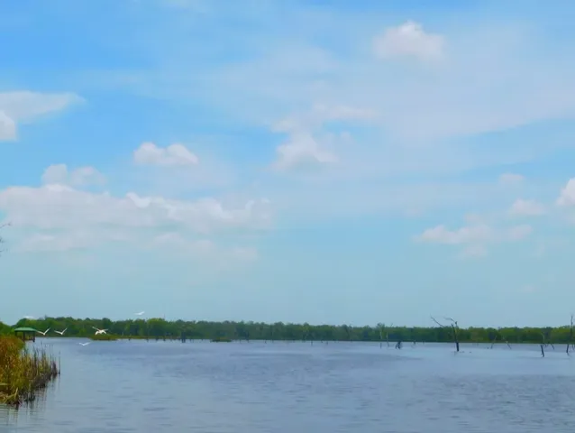 $55,000 | 590 Longhorn Trail, Angleton, TX 77515