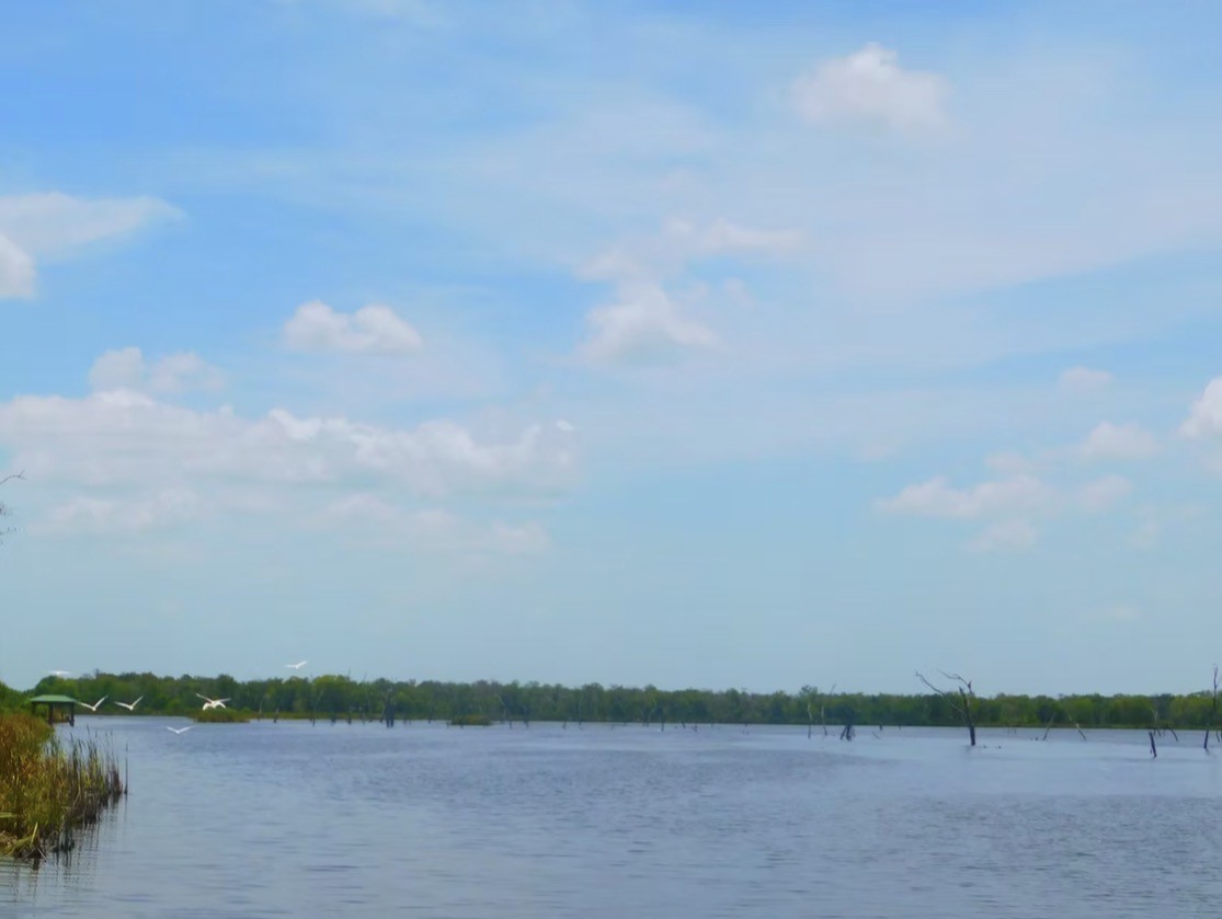 590 Longhorn Trail Angleton, TX 77515 - Photo 10 of 12 ONE OF TWO LAKES