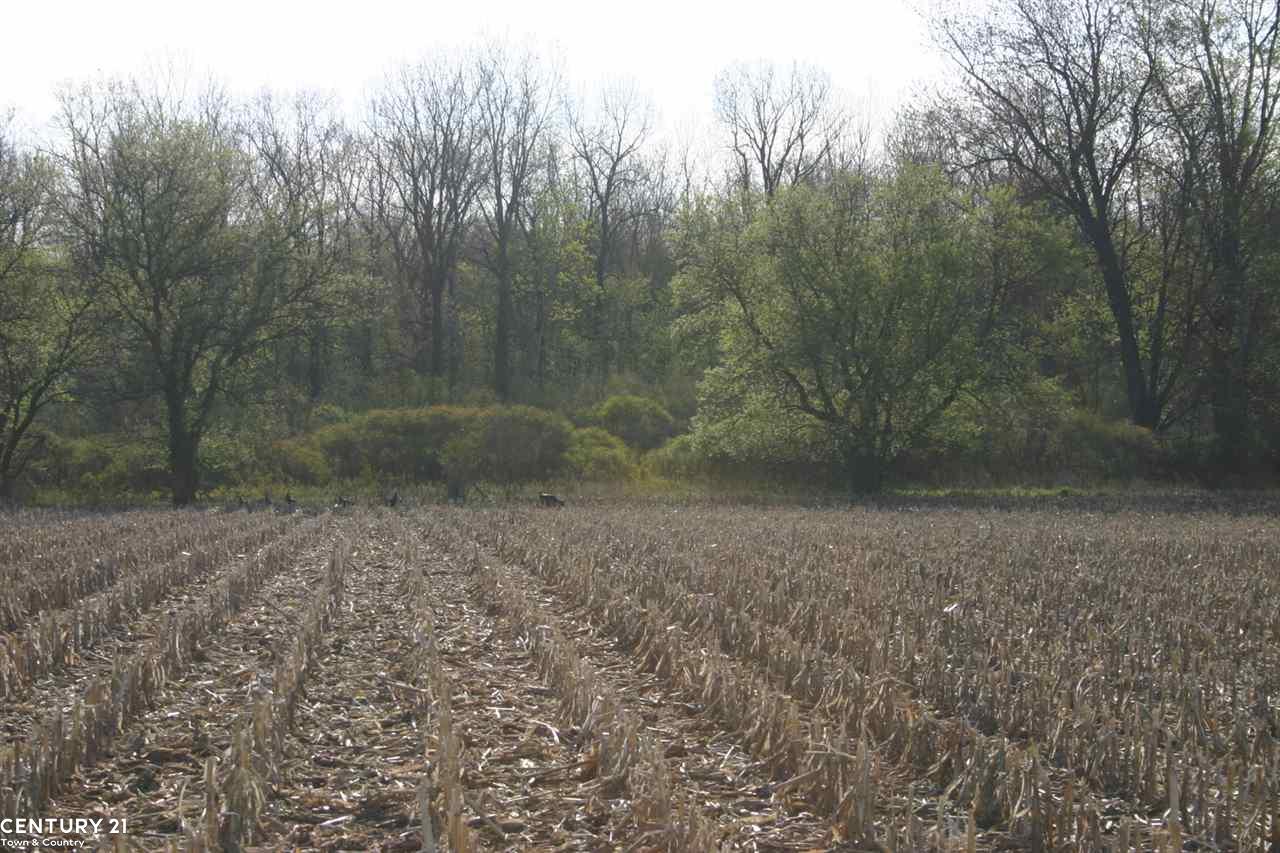 0 Corneil Road, Unit PARCEL 8 Imlay City, MI 48444 - Photo 10 of 30 Gallery Image 10