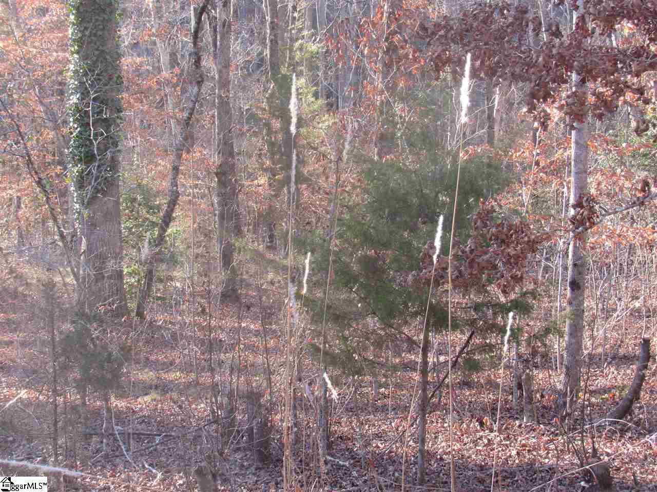 450 Rutledge Lake Road Greenville, SC 29617 - Photo 2 of 8 Gallery Image 2