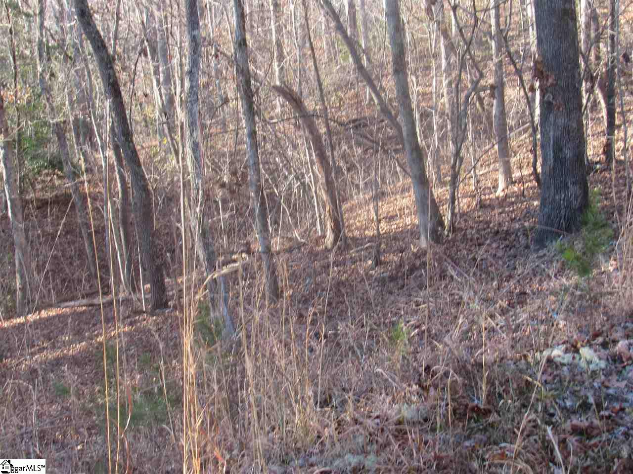 450 Rutledge Lake Road Greenville, SC 29617 - Photo 5 of 8 Gallery Image 5