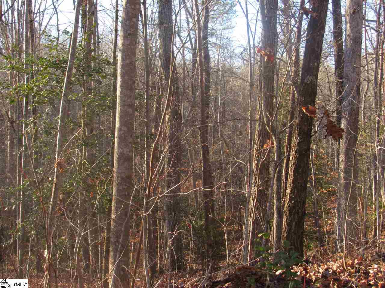 450 Rutledge Lake Road Greenville, SC 29617 - Photo 7 of 8 Gallery Image 7