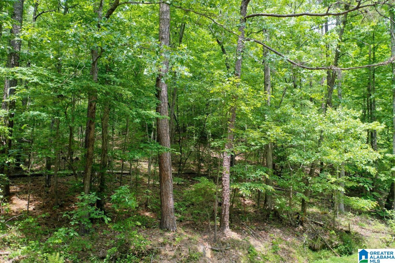 0 Kennedy Drive, Unit 13 Oneonta, AL 35121 - Photo 8 of 10