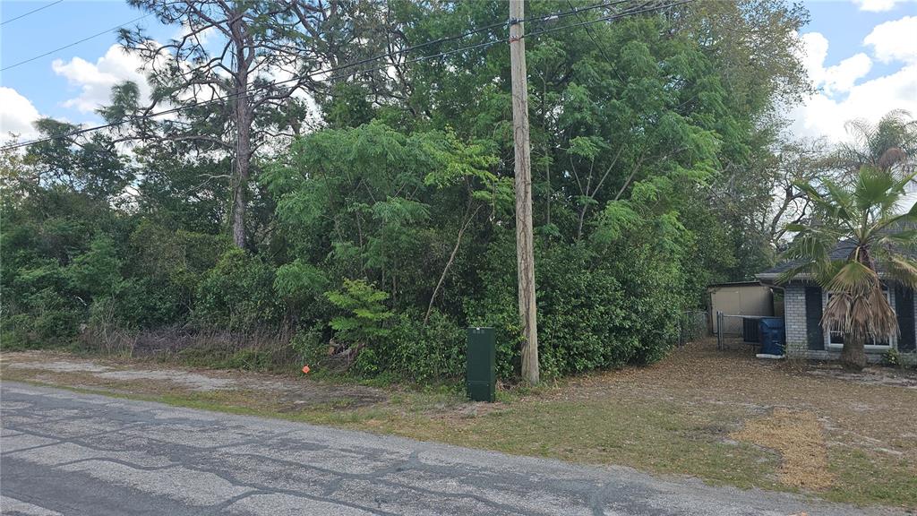 7430 Apache Trail Spring Hill, FL 34606 - Photo 4 of 4 a view of a outdoor space with trees