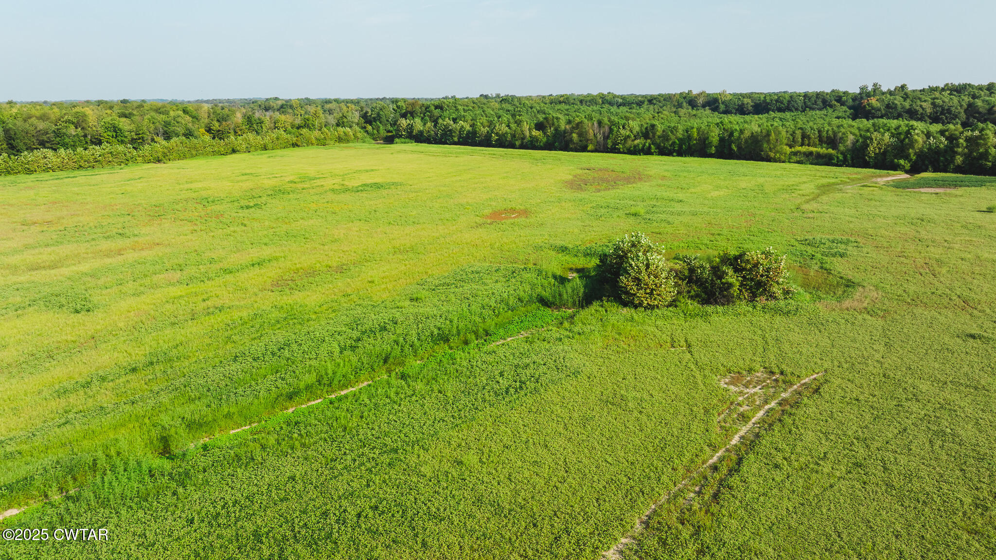 0 Burrell Lane Friendship, TN 38034 - Photo 13 of 25 a view of an ocean and a yard