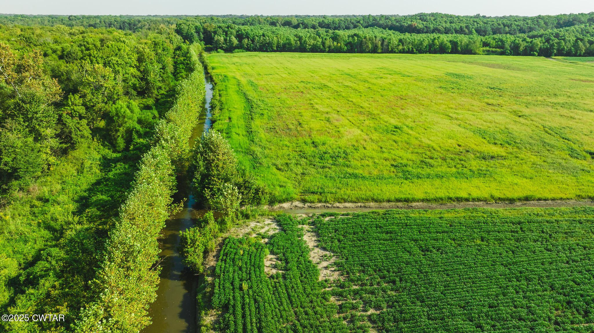 0 Burrell Lane Friendship, TN 38034 - Photo 14 of 25 a view of yard with green space