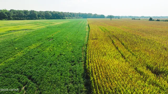 a view of an ocean and beach