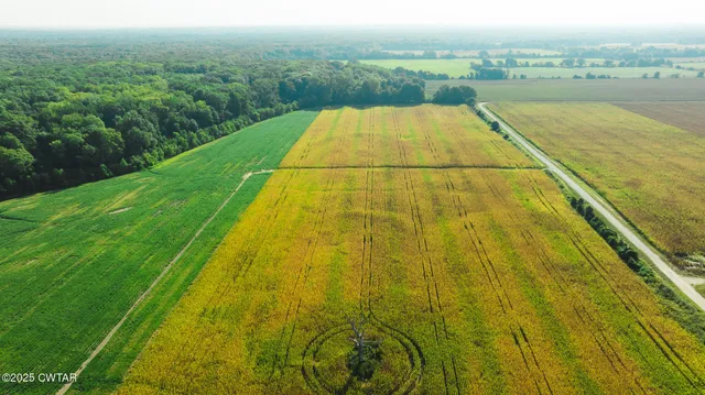 a view of swimming pool