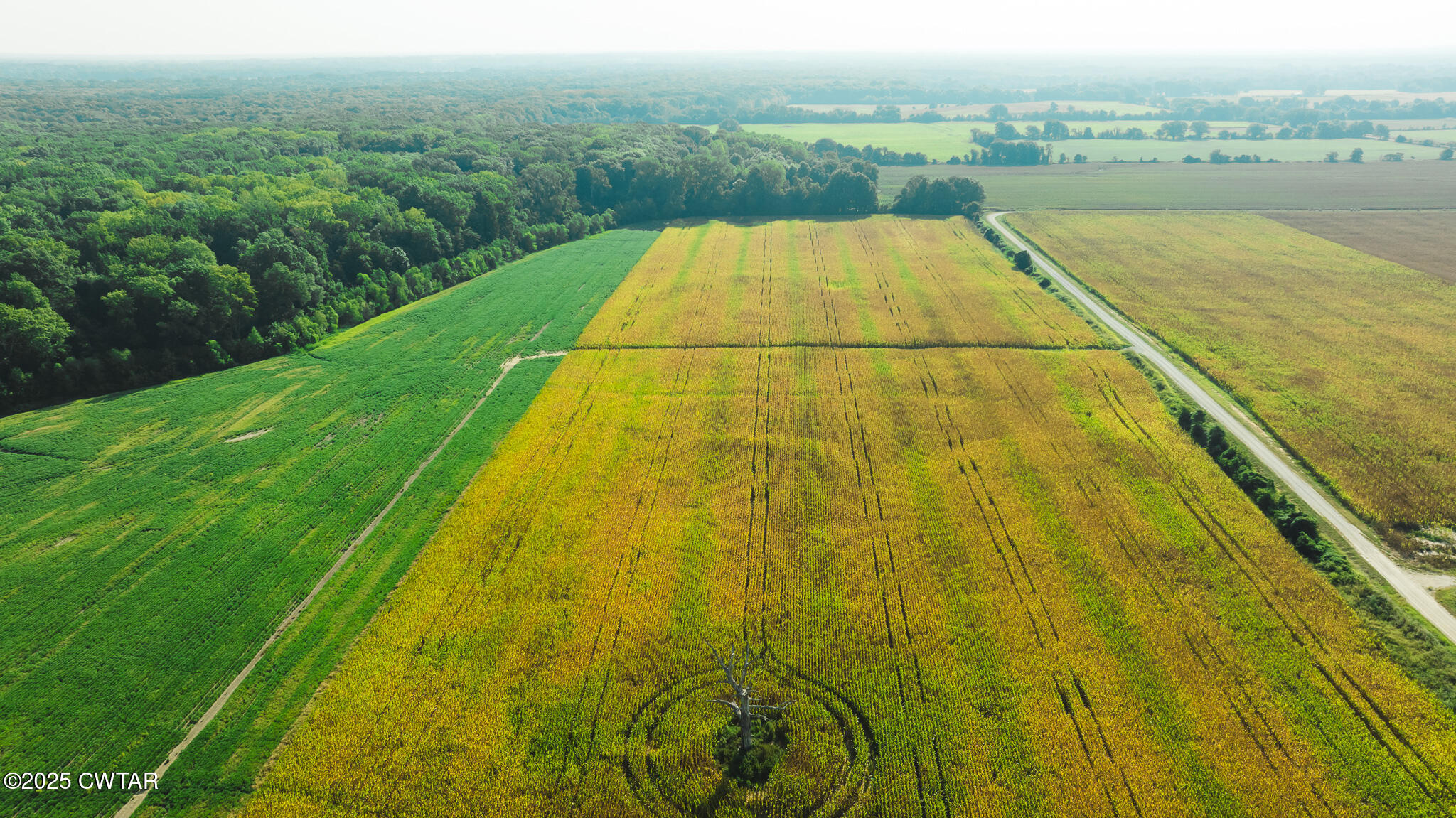 0 Burrell Lane Friendship, TN 38034 - Photo 18 of 25 a view of swimming pool