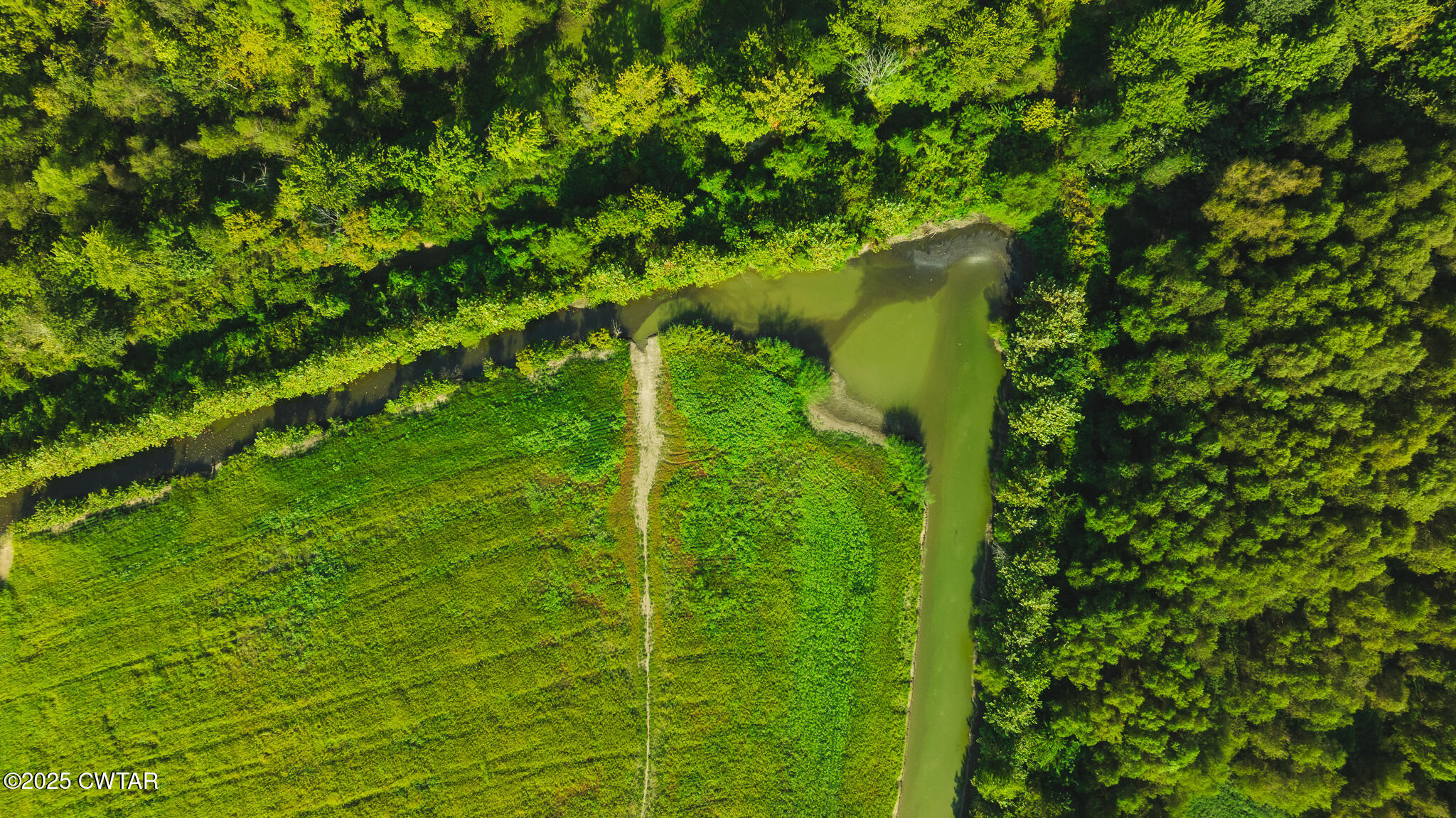 0 Burrell Lane Friendship, TN 38034 - Photo 19 of 25 a view of a garden