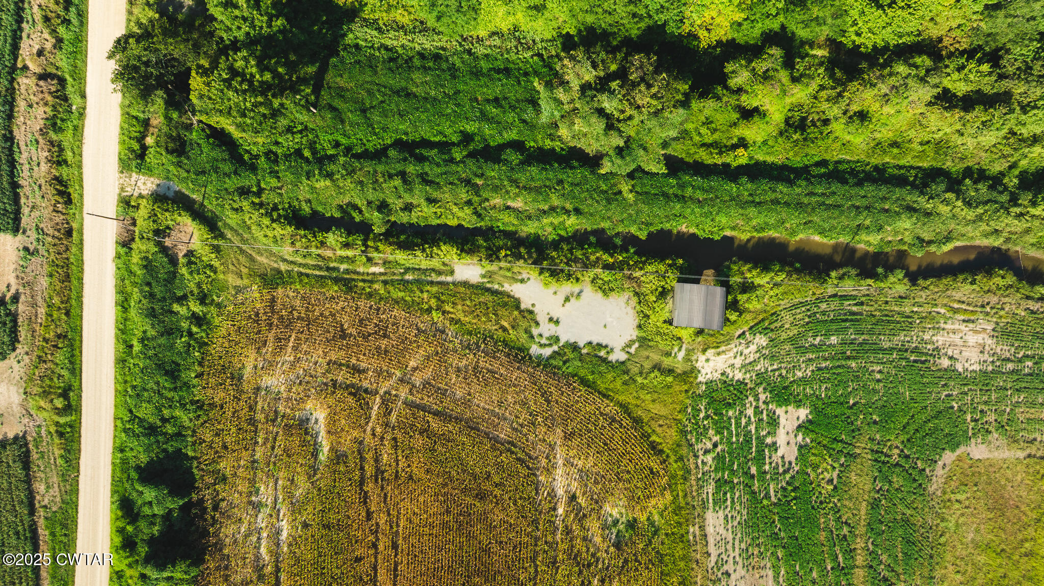 0 Burrell Lane Friendship, TN 38034 - Photo 2 of 25 a view of a garden