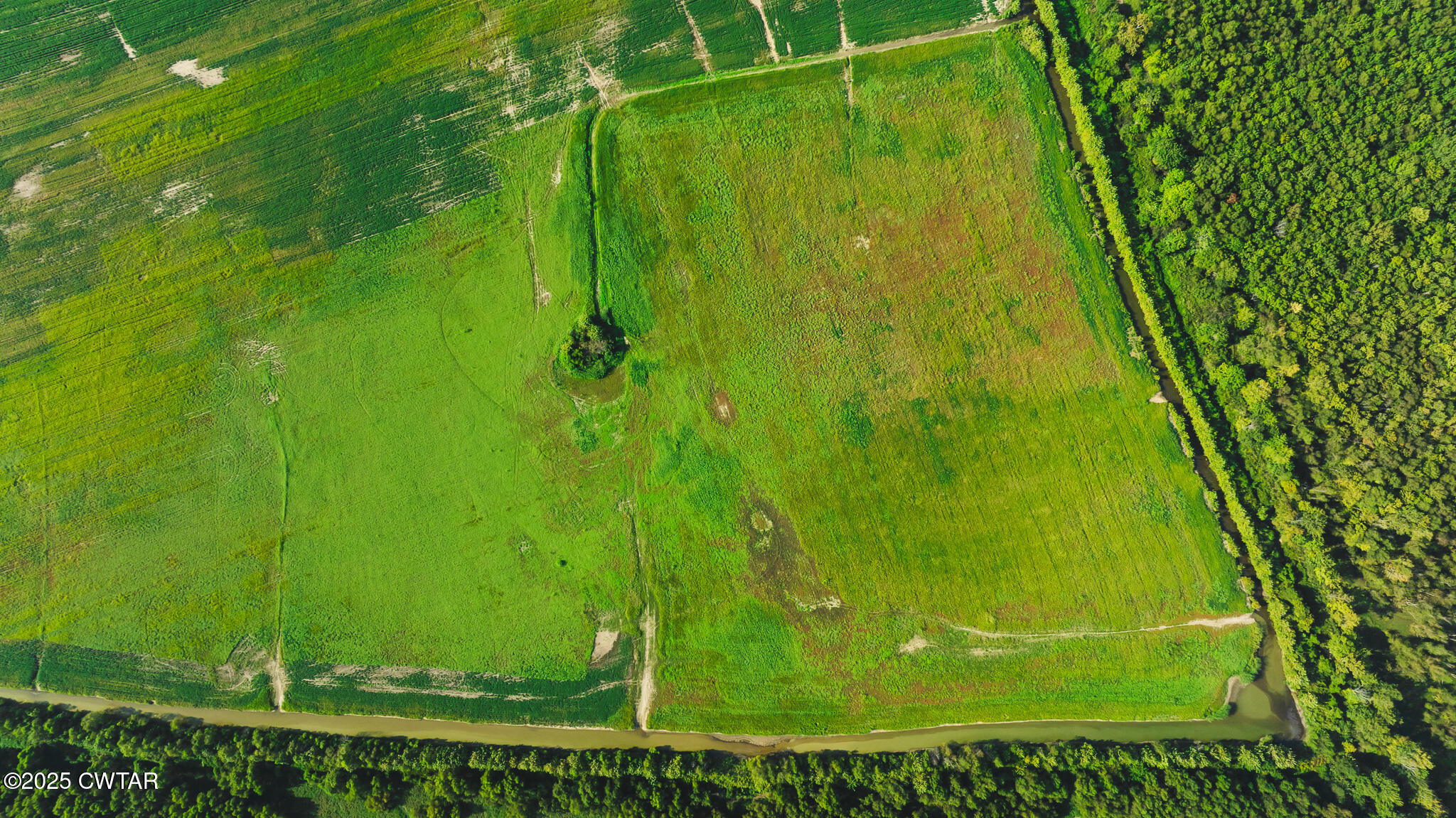 0 Burrell Lane Friendship, TN 38034 - Photo 23 of 25 a view of a back yard