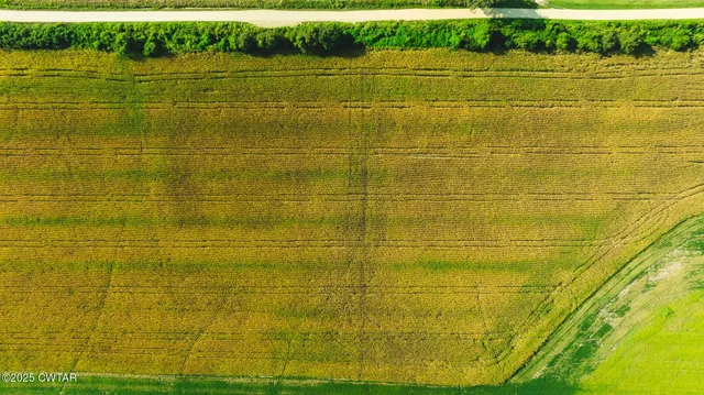 a view of a large yard with large trees