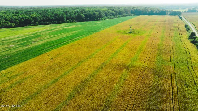 $1,649,000 | 0 Burrell Lane, Friendship, TN 38034