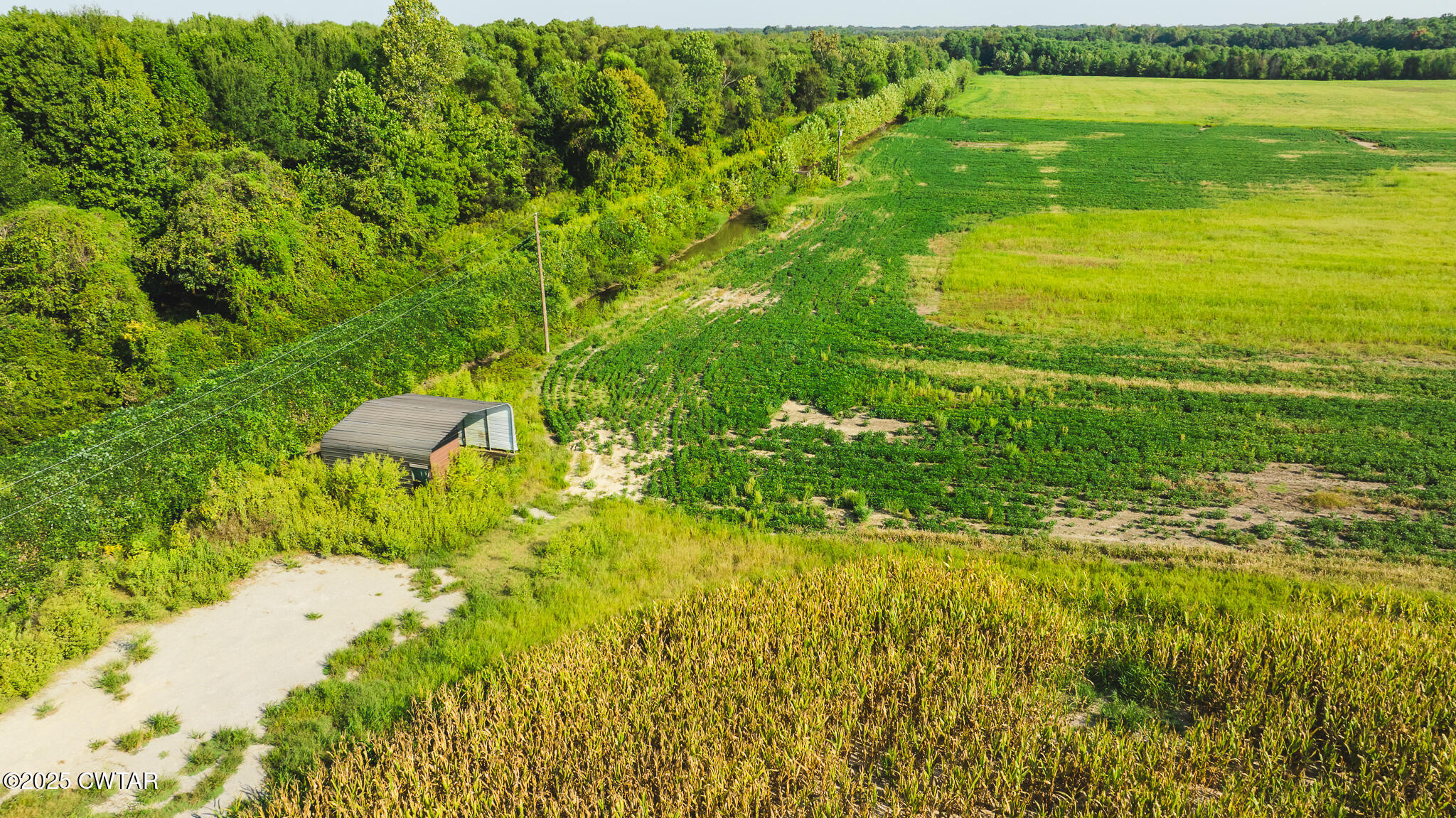 0 Burrell Lane Friendship, TN 38034 - Photo 3 of 25 a view of yard with swimming pool and green space
