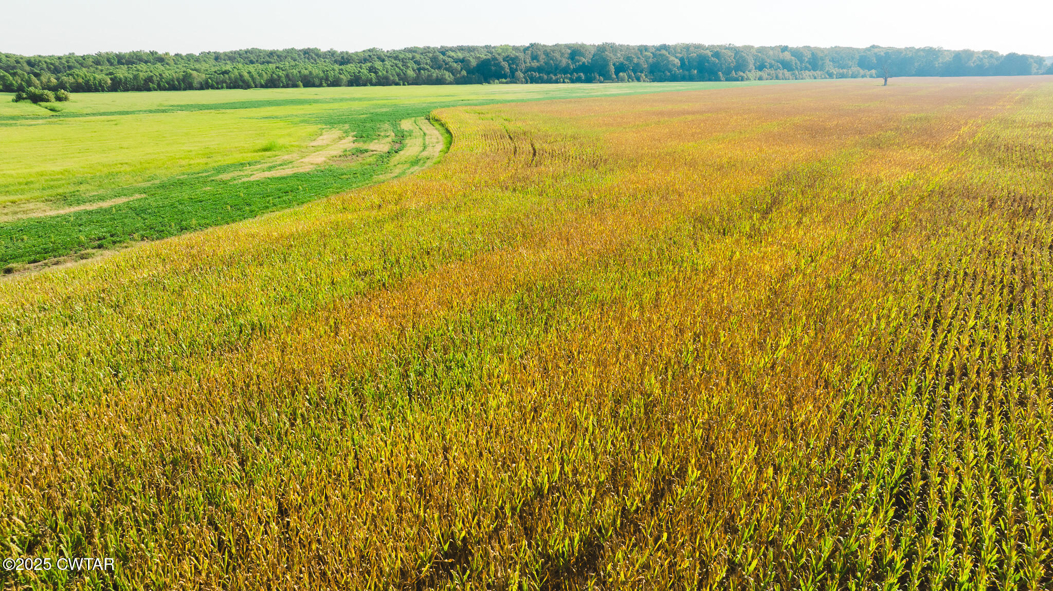 0 Burrell Lane Friendship, TN 38034 - Photo 4 of 25 a view of an ocean