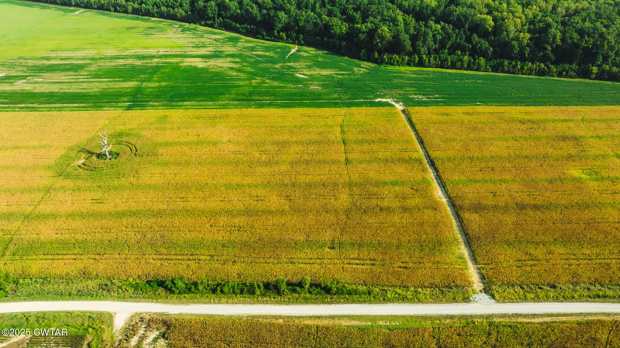 0 Burrell Lane Friendship, TN 38034 - Photo 5 of 25 a view of an ocean beach