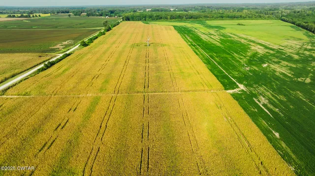 a view of swimming pool with a big yard and large trees