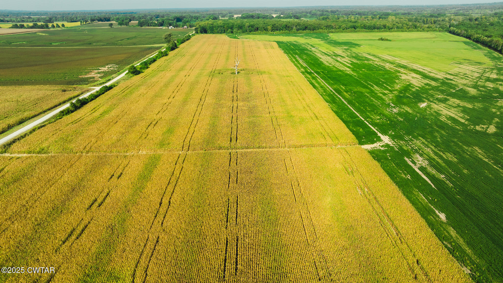 0 Burrell Lane Friendship, TN 38034 - Photo 6 of 25 a view of swimming pool with a big yard and large trees