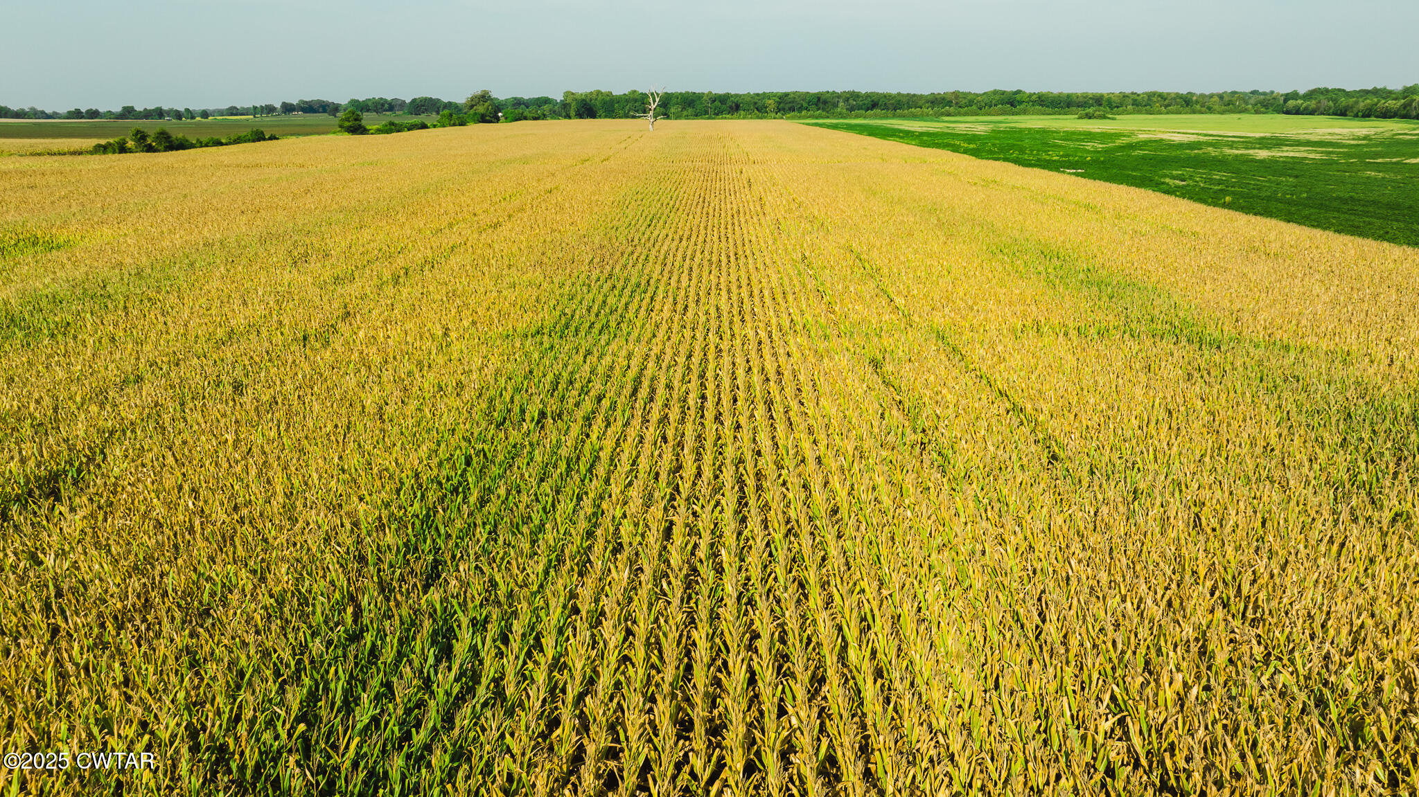 0 Burrell Lane Friendship, TN 38034 - Photo 7 of 25 a view of an ocean