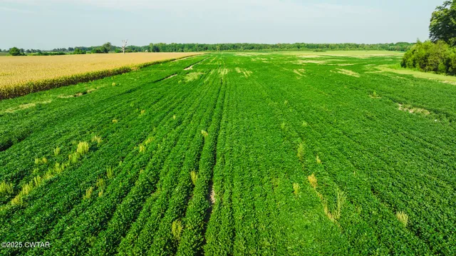 a view of an outdoor space and a lake view