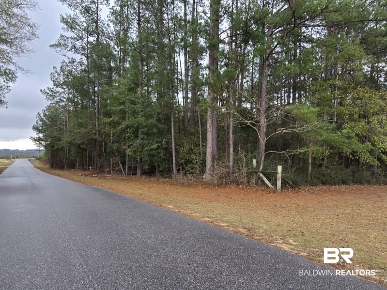 0 Tippens Eddy Road Brewton, AL 36426 - Photo 2 of 3 View of asphalt road