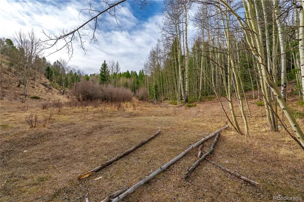 $15,000 | 130 Grey Eagle Way, Cripple Creek, CO 80813