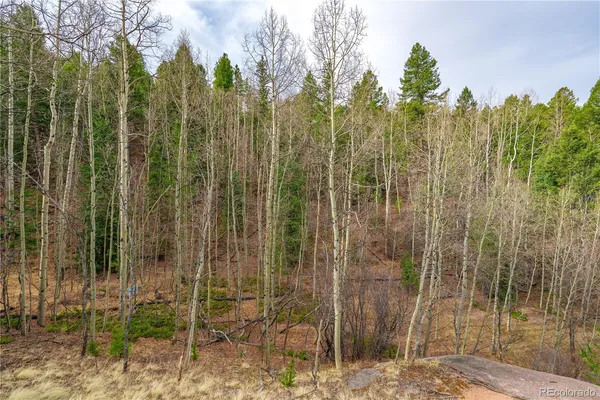 $15,000 | 130 Grey Eagle Way, Cripple Creek, CO 80813