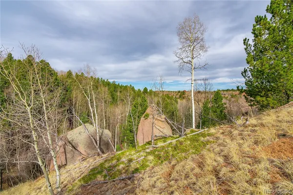 $15,000 | 130 Grey Eagle Way, Cripple Creek, CO 80813