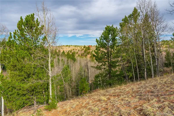 $15,000 | 130 Grey Eagle Way, Cripple Creek, CO 80813