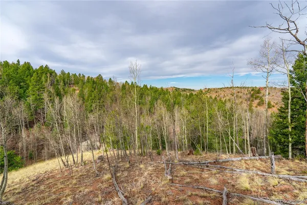 $15,000 | 130 Grey Eagle Way, Cripple Creek, CO 80813