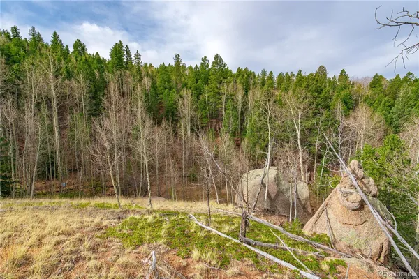 $15,000 | 130 Grey Eagle Way, Cripple Creek, CO 80813