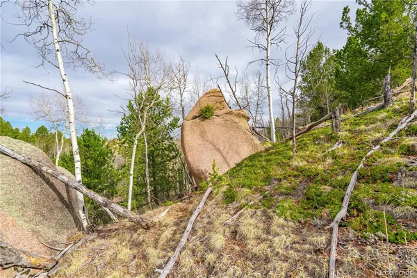 $15,000 | 130 Grey Eagle Way, Cripple Creek, CO 80813