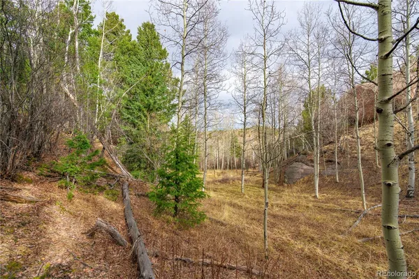 $15,000 | 130 Grey Eagle Way, Cripple Creek, CO 80813