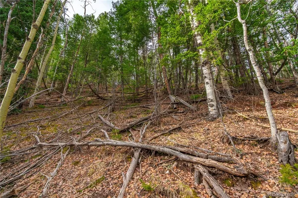 $15,000 | 130 Grey Eagle Way, Cripple Creek, CO 80813